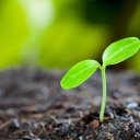 AdobeStock_184983852-1