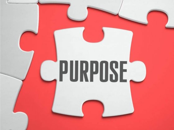 4 Elements of a Compelling Team Purpose