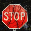 Photo by Michael Mroczek on Unsplash