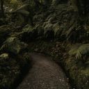 Path Forward