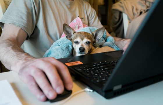 Rewards and Risks Of Working Remotely