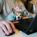 Working Remotely