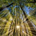 Five Leadership Behaviors We Must Retain