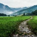 What are you leaving behind?