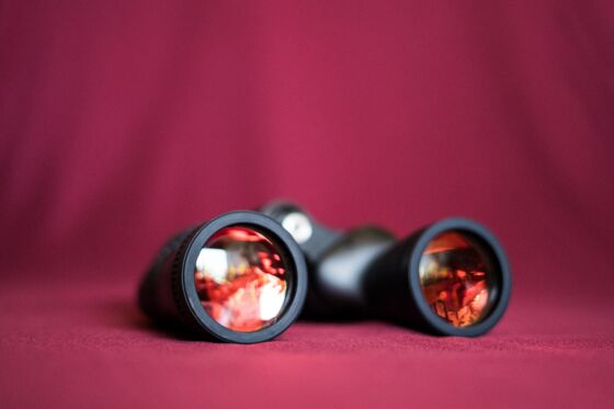 Uncover Your Blind Spots