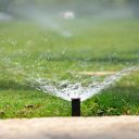 Image of a sprinkler head watering a lawn